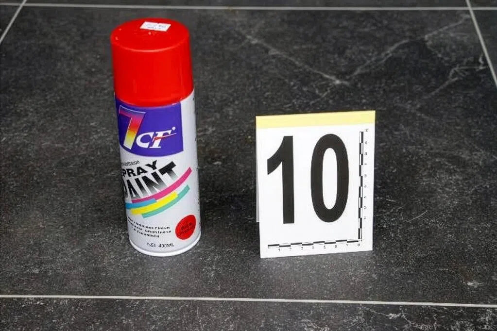 涉圣诞节涂鸦 43岁澳洲华裔女子被控上庭