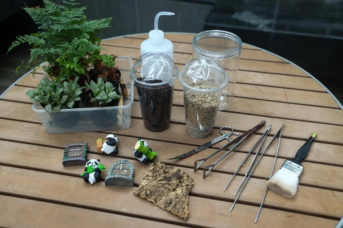 备好瓶中景材料，即可发挥个人创意，设计独树一帜的迷你景观。（白艳琳摄）