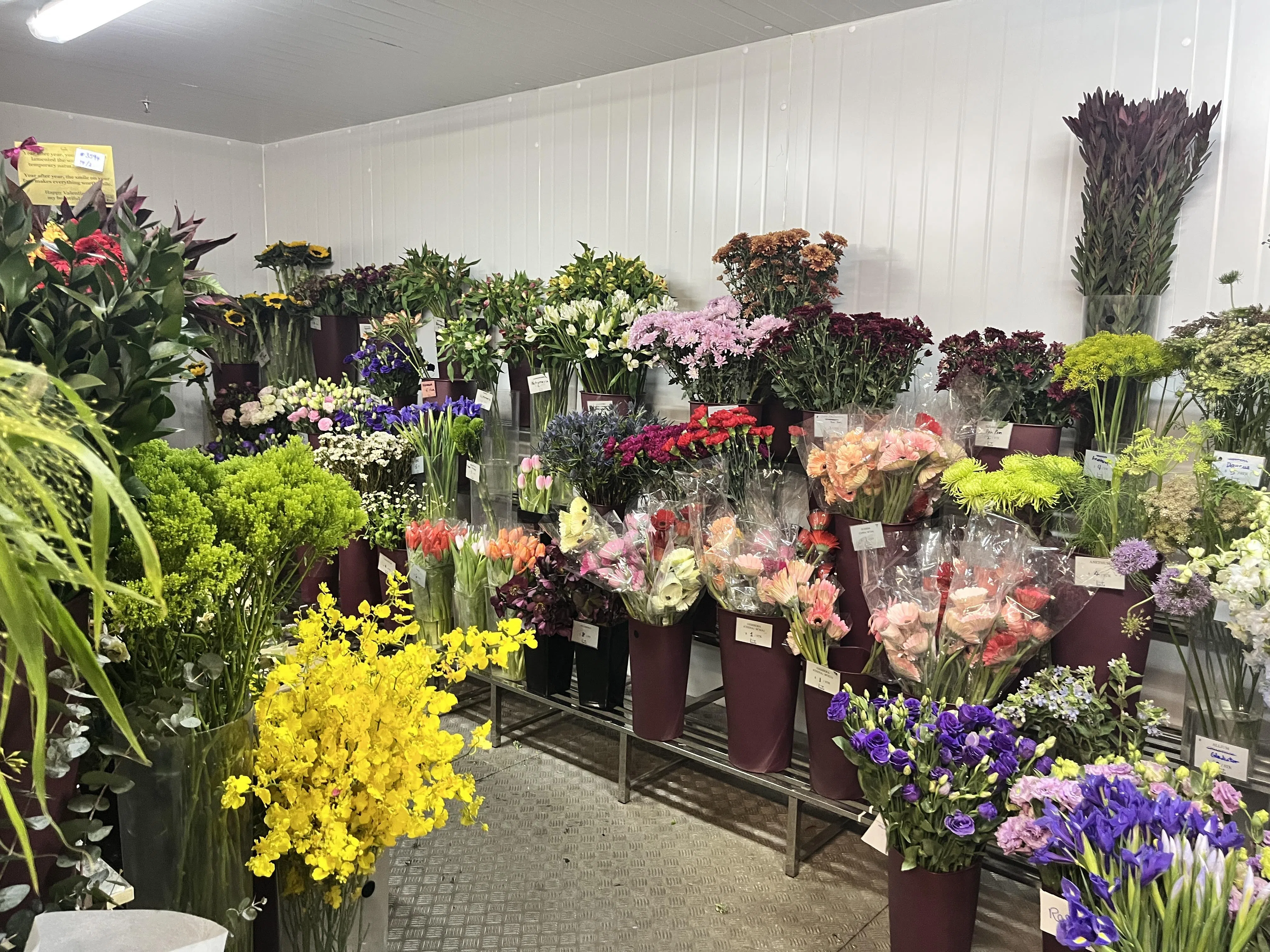 Beato Fiore的专属冷房，让花儿在最理想的温度里呼吸。（陈映蓁摄）