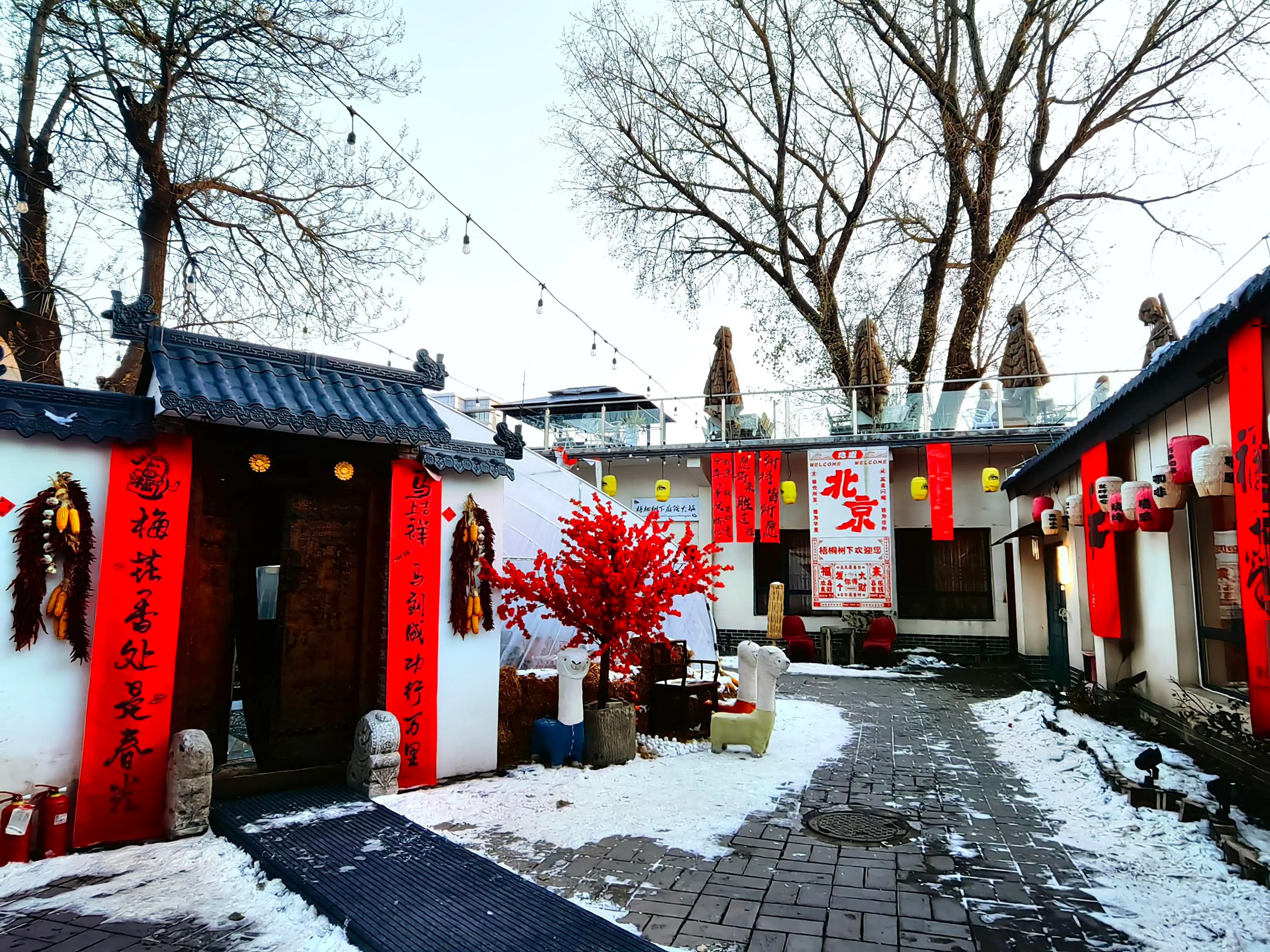 北京东城区文创园“东壁书院”内一网红餐厅。东壁书院位于东城区胡同片区，由闲置的国有老厂房改建而成。园内一些特色小店利用胡同闹中取静的特点，加以装饰装修，成为网红打卡点。（孟丹丹摄）