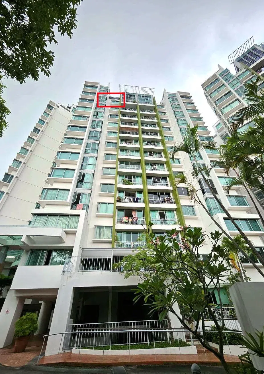 红框所示为勿洛阜景园（Tanamera Crest）涉案顶层单位。分层地契局认为，该单位外观与相邻单位原有差异，遮阳篷并未显著影响整体外观，因此不构成违规。（取自判词）