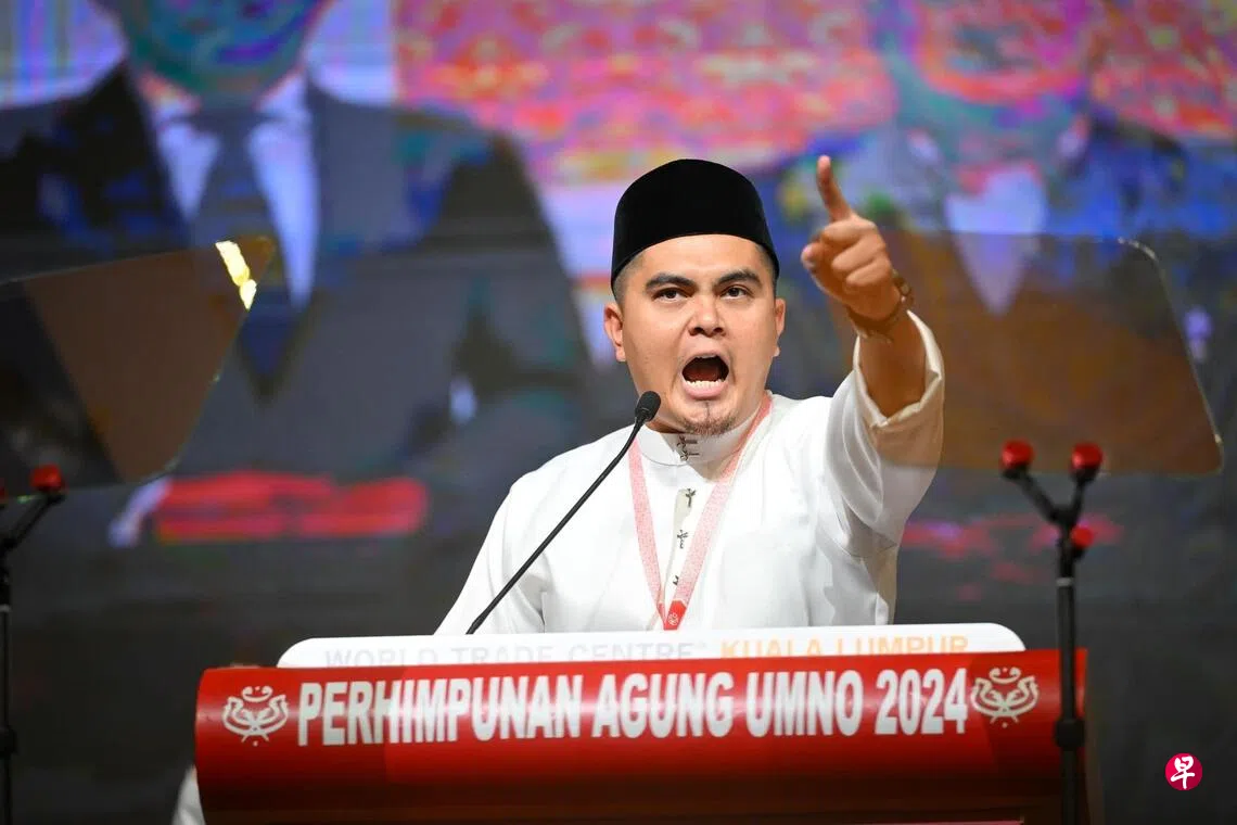 巫青团召集特别大会议退出团结政府巫统当权派斥向领导层施压| 联合早报