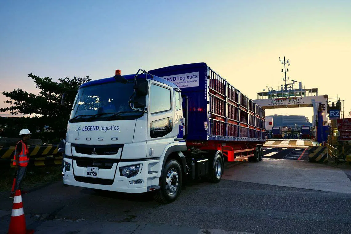 2万3000只活鸡星期六（5月13日）清晨从印尼运往我国。（佳发提供）