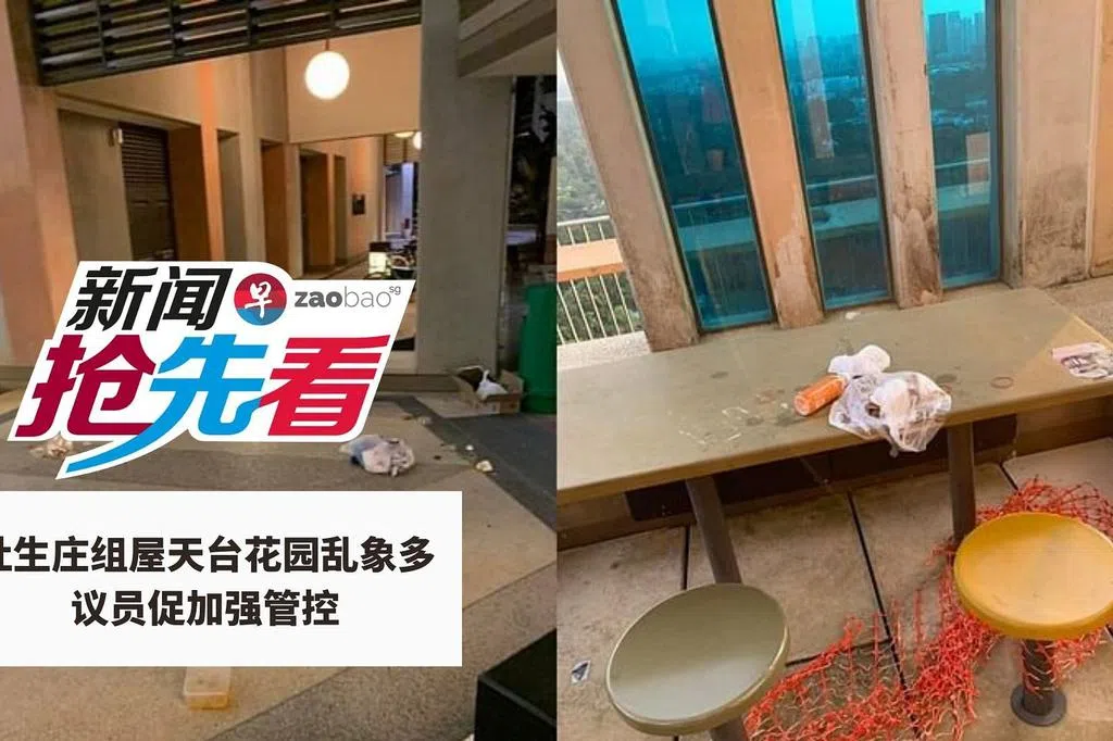11月10日新闻抢先看：杜生庄组屋天台花园乱象多 议员促加强管控 | 联合早报