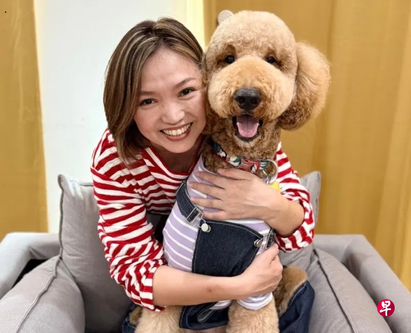 洪菁云：谢谢你来到我的生命里