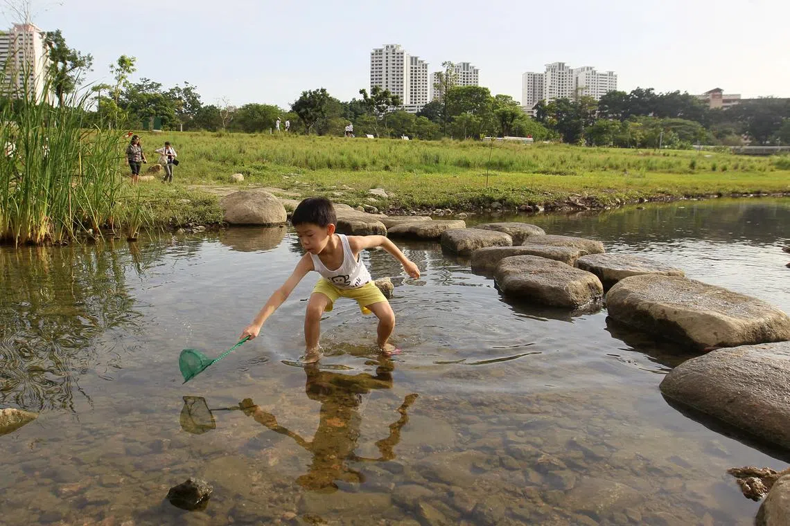 2022年3月，一位小朋友重归碧山—宏茂桥公园的一条河道，赤脚戏水。你认识他吗？（谢智扬摄）