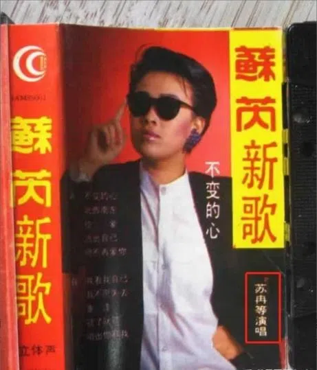 那英曾以“山寨苏芮”形象灌录唱片。（互联网）