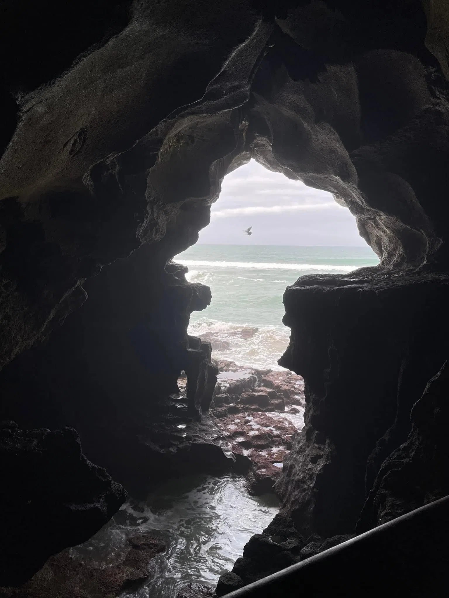  “大力神洞”的洞口轮廓，恰似左右对调的非洲地图，太神奇了！（王华儿摄）