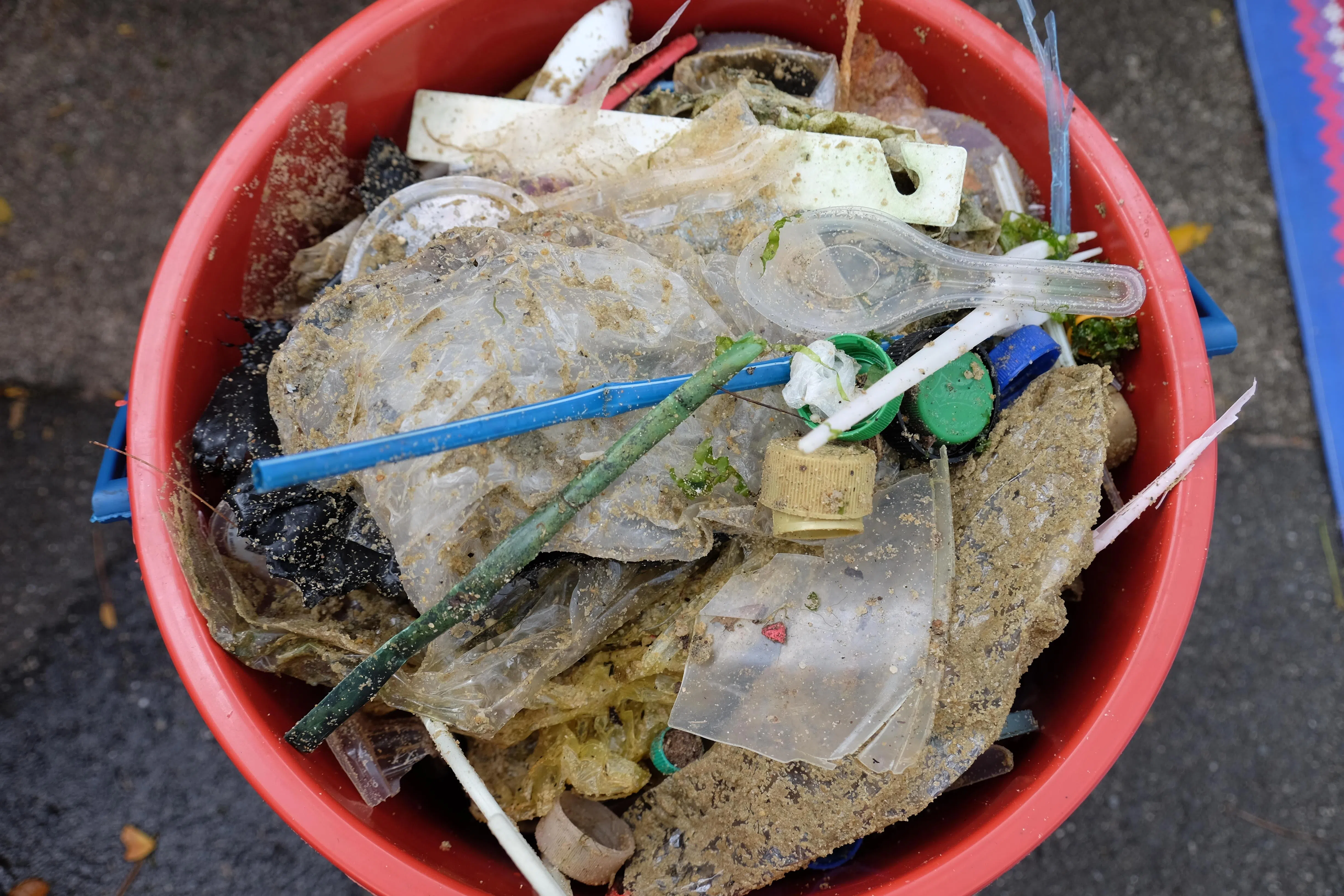 海洋计划举办清理海滩活动，也探讨如何将收集到的海洋塑料制成氢气。（Ocean Purpose Project提供）