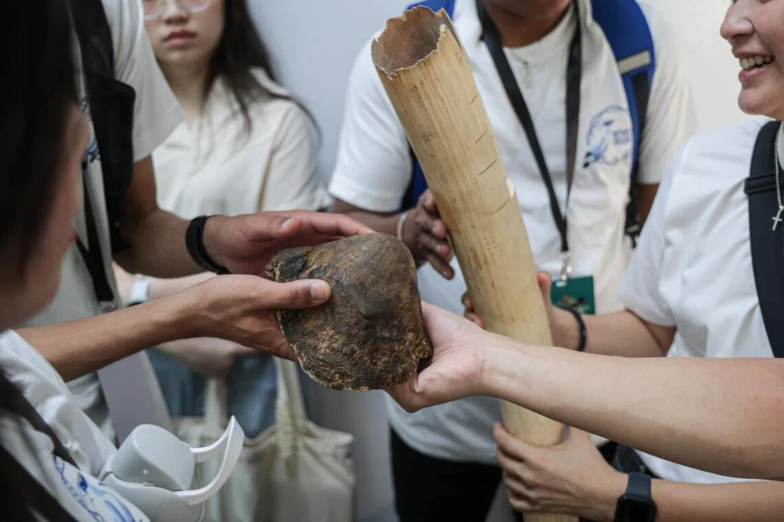 每一件野生动物制品中的DNA，都藏着它们的身份与身世，为科学家们提供了追查和审判不法分子的证据。图为青年们传阅我国查扣的犀牛角和象牙样本。（李冠卫摄）