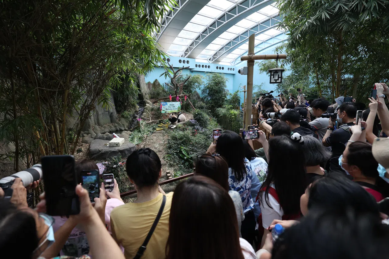 大批民众特地前往河川生态园参加叻叻的两岁生日派对。（林明顺摄）