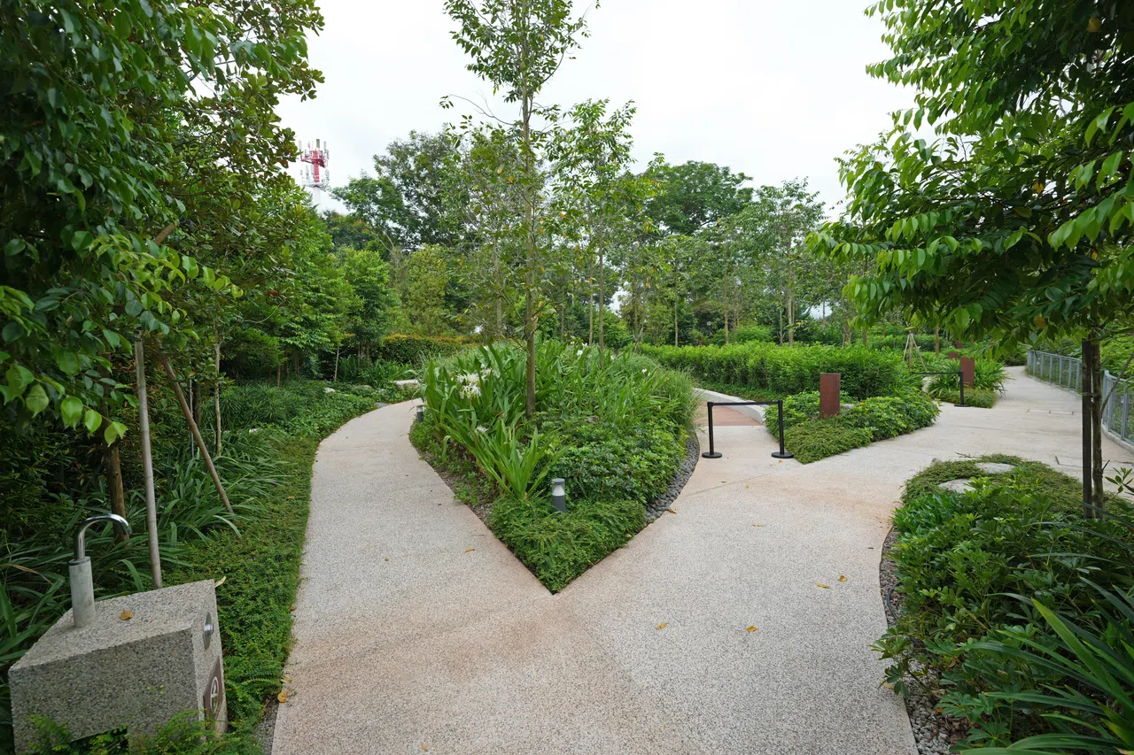 静心园的设计灵感源自叶脉纹路，园内有四条小径，家属可将逝者的骨灰撒在撒土区的卵石上，让骨灰自然渗入土中，回归自然。（谢智扬摄）