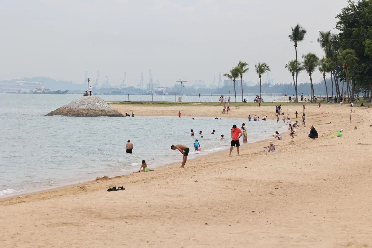 东海岸公园延绵的沙滩，吸引一家大小前去戏水玩乐。（档案照片）