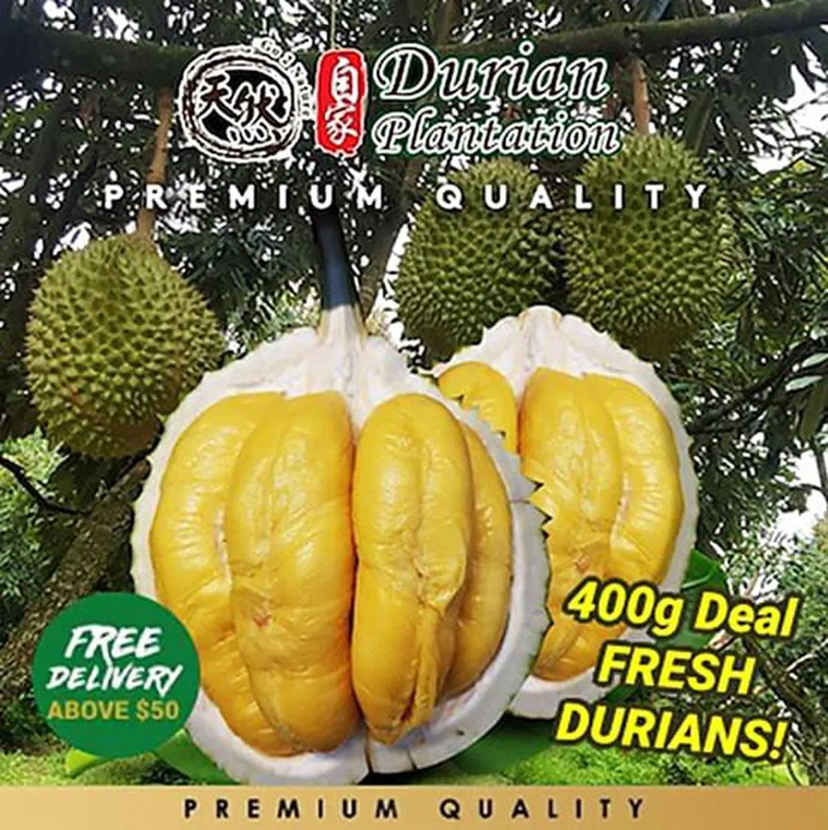 Durian Plantation的优质榴梿。（图/Shopee提供）