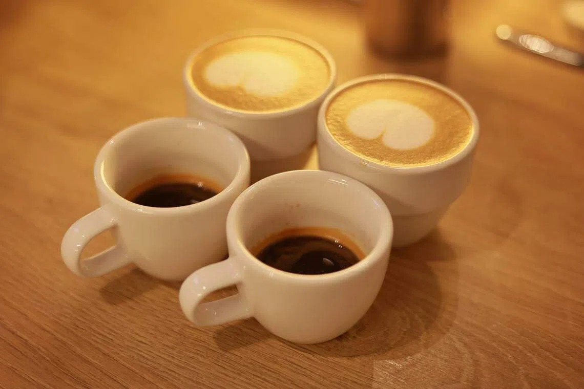 为冲泡质量一致的咖啡，黄偌棋需要长时间练习。（龙国雄摄）