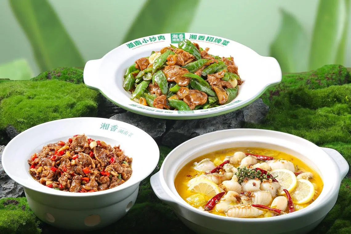 湘香湖南菜的菜品多样化。（餐馆提供）