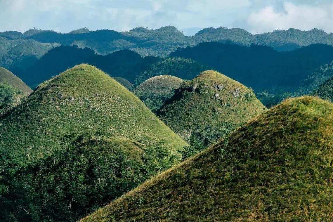曾兄弟旅行社新推出两人即可成行的自由行，目的地包括菲律宾和周边景点，其中之一是菲律宾薄荷岛的奇景巧克力山（Chocolate Hills，图）。那里有1200多座圆锥形的山，每逢旱季，山上的草就会干枯成咖啡色，看起来像巧克力，因而得名。（曾兄弟旅行社提供）