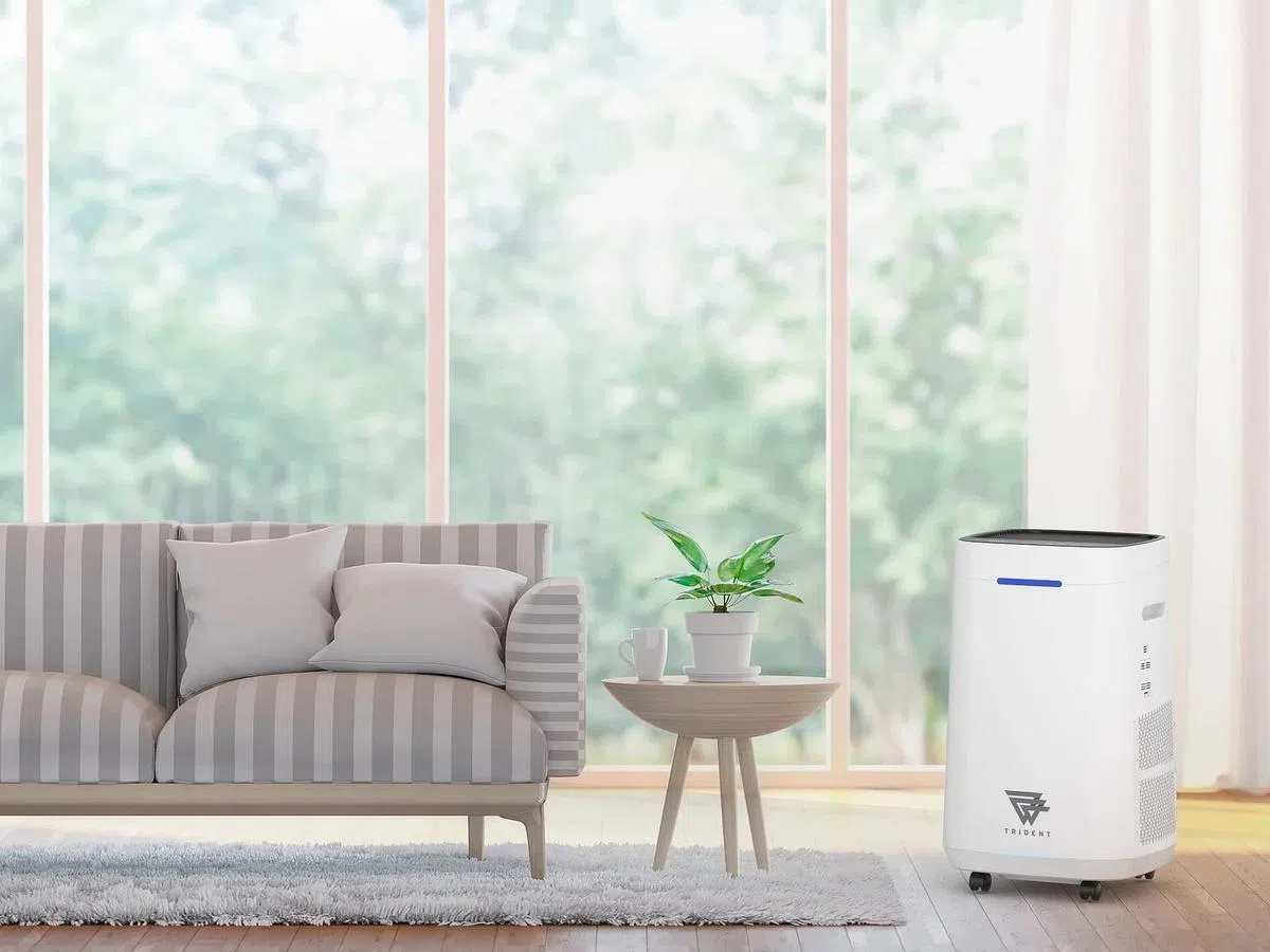 戴腾Mini适合家居使用，可以净化9至74平方米空间。 （善康科技提供）