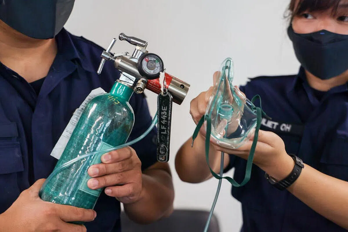 民防人员使用氧气筒和面罩让猫吸氧，并为情况比较严重的三只猫进行心脏复苏术。（卓祾祎摄）