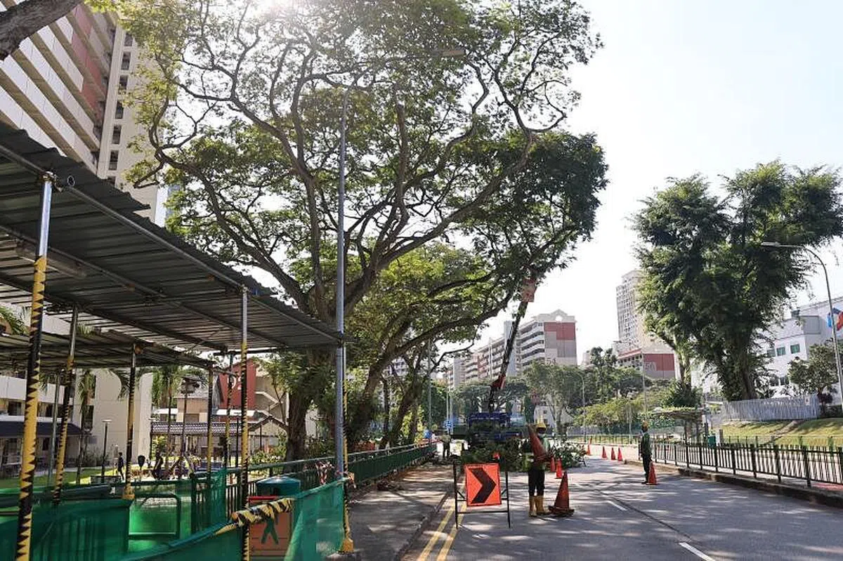 断裂的树干占据了最左边的车道，但没有造成交通阻塞。(陈来福摄）