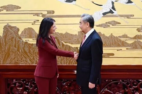 王毅：面对强权霸凌 不能任由谁拳头硬谁说了算