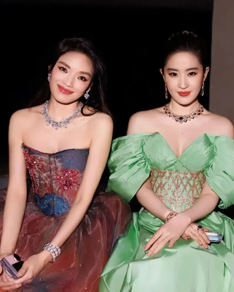 所有官方照片中，完全没有森星的身影，图为舒淇（左）和刘亦菲。（互联网）