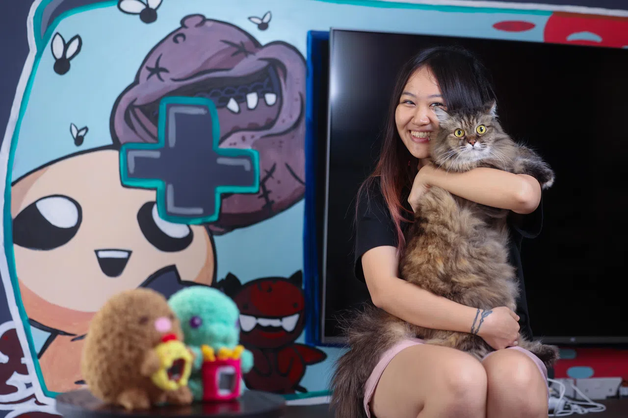 除了一柜子的电子宠物，刘佳茹也养宠物猫。（吴先邦摄）