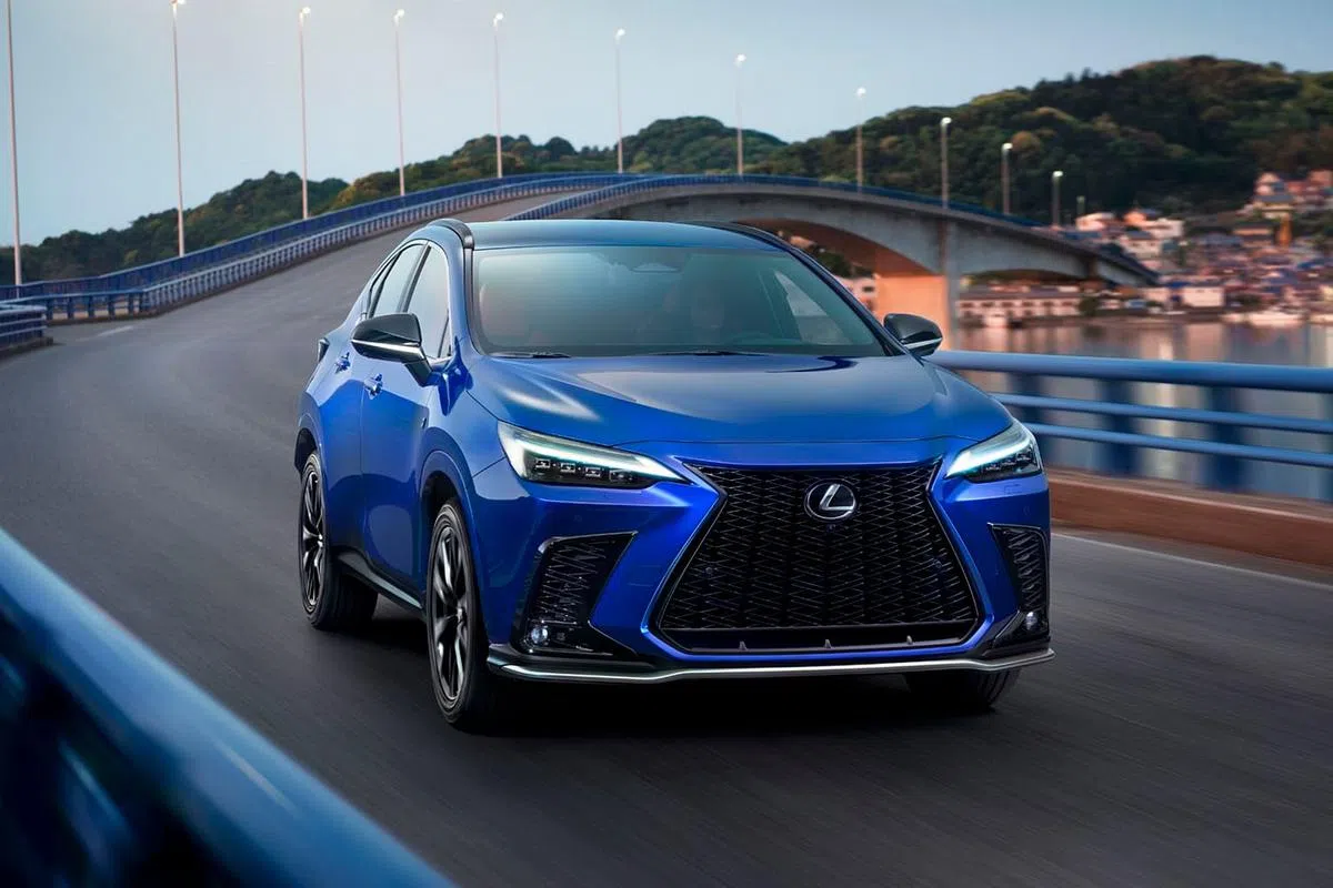 （图/商家提供）