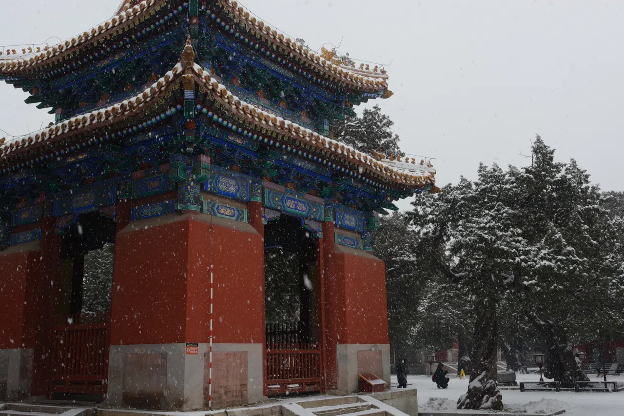 雪花飘洒独楼。