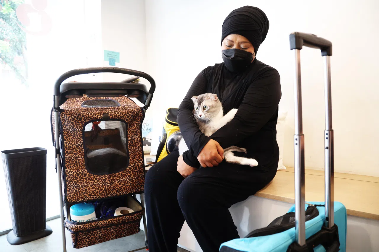 扎里娜家中有四口人、五个毛孩，一大家子都到这家宠物诊所来“注册”。（蔡家增摄）