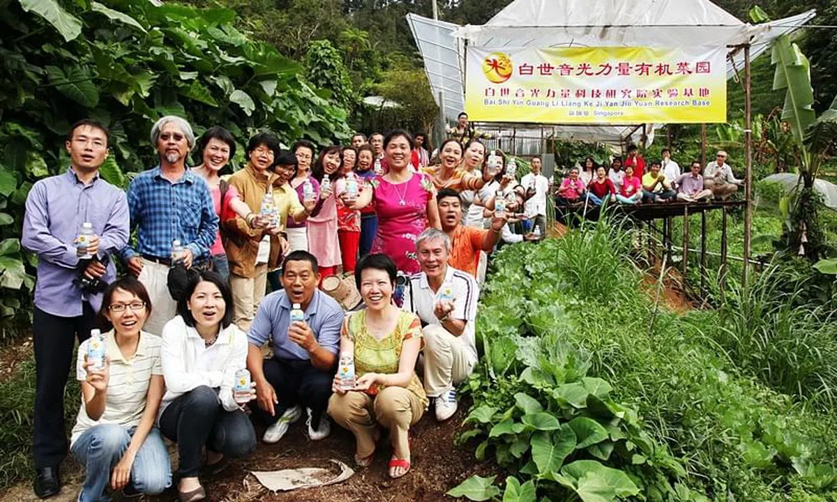 马来西亚金马仑有机蔬菜园实践研究基地。（图/受访者提供）