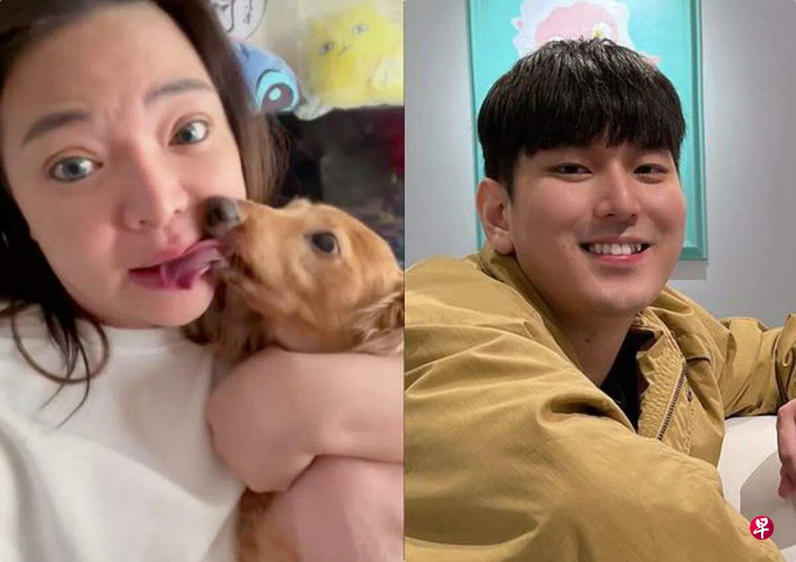 小甜甜道歉了！承认三大谎言：狗是我弄伤的| 联合早报