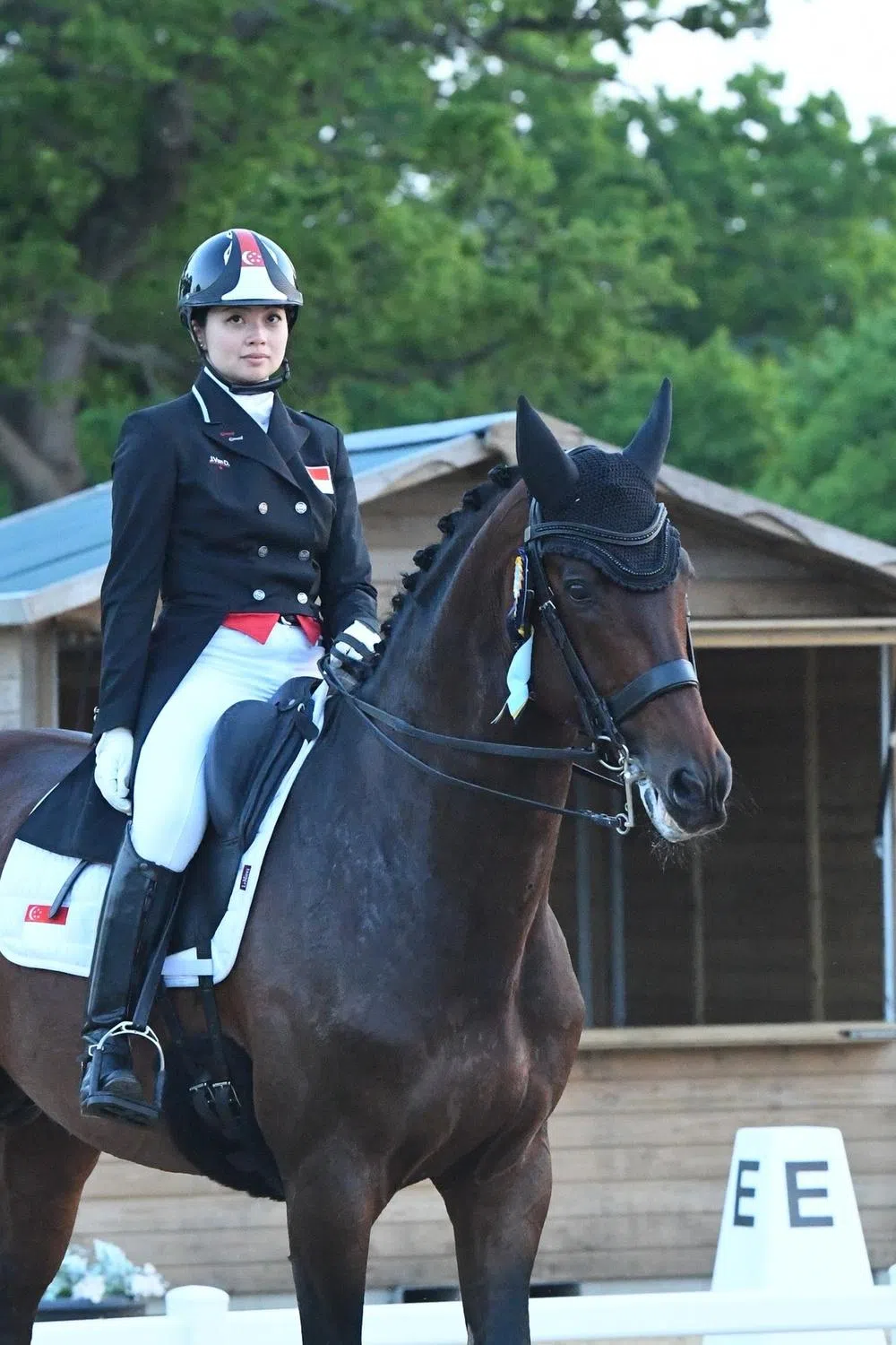 由于上届参加东京奥运的爱驹崔比亚尼年事已高，朱佩嘉本届奥运将和另一匹马扎特奇莫（图）搭档参赛。（朱佩嘉提供）