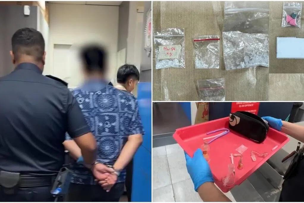 行李在游轮中心被查出毒品 50岁本地男子被捕