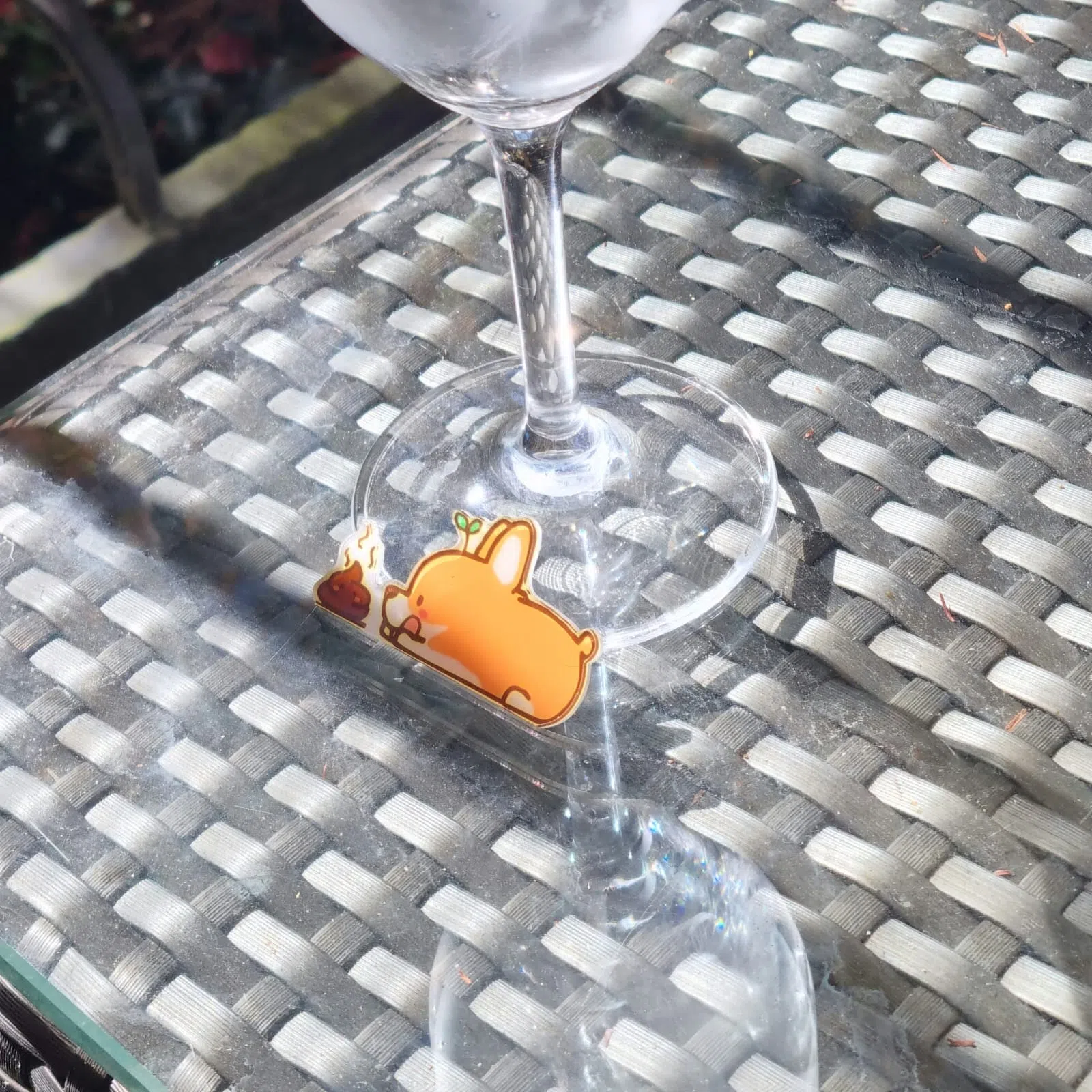 后来它又总是乱跑，有时商场地上，有时在院子草堆里，但我总能找得到它。（作者提供）