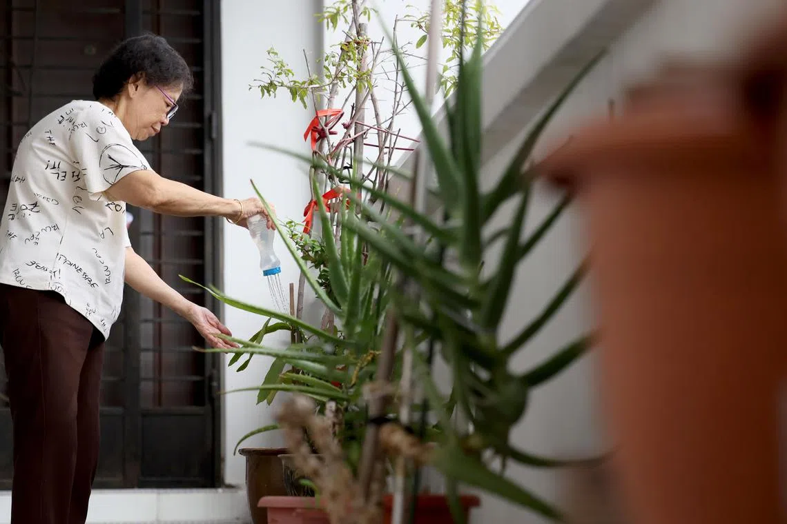 杨玉算在走廊种植绿植和辣椒，充实生活。（龙国雄摄）