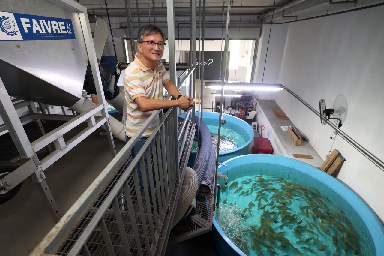 蓝海洋水产养殖科技有限公司董事经理黄益生，七年前开始利用AI技术实时调整供氧量，养殖效率提高了五倍。他现在用AI烹饪设备，用自产石斑鱼的鱼骨熬汤，推出“八宝盆菜”套装。（邝启聪摄）