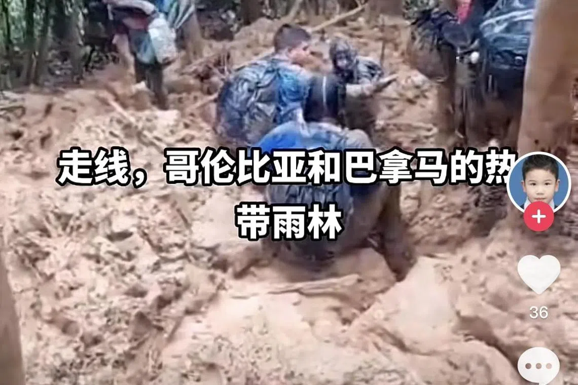 在巴拿马和哥伦比亚边境，没有公路，只能徒步穿过热带雨林。这一段路程通常需要当地向导带路。（互联网）