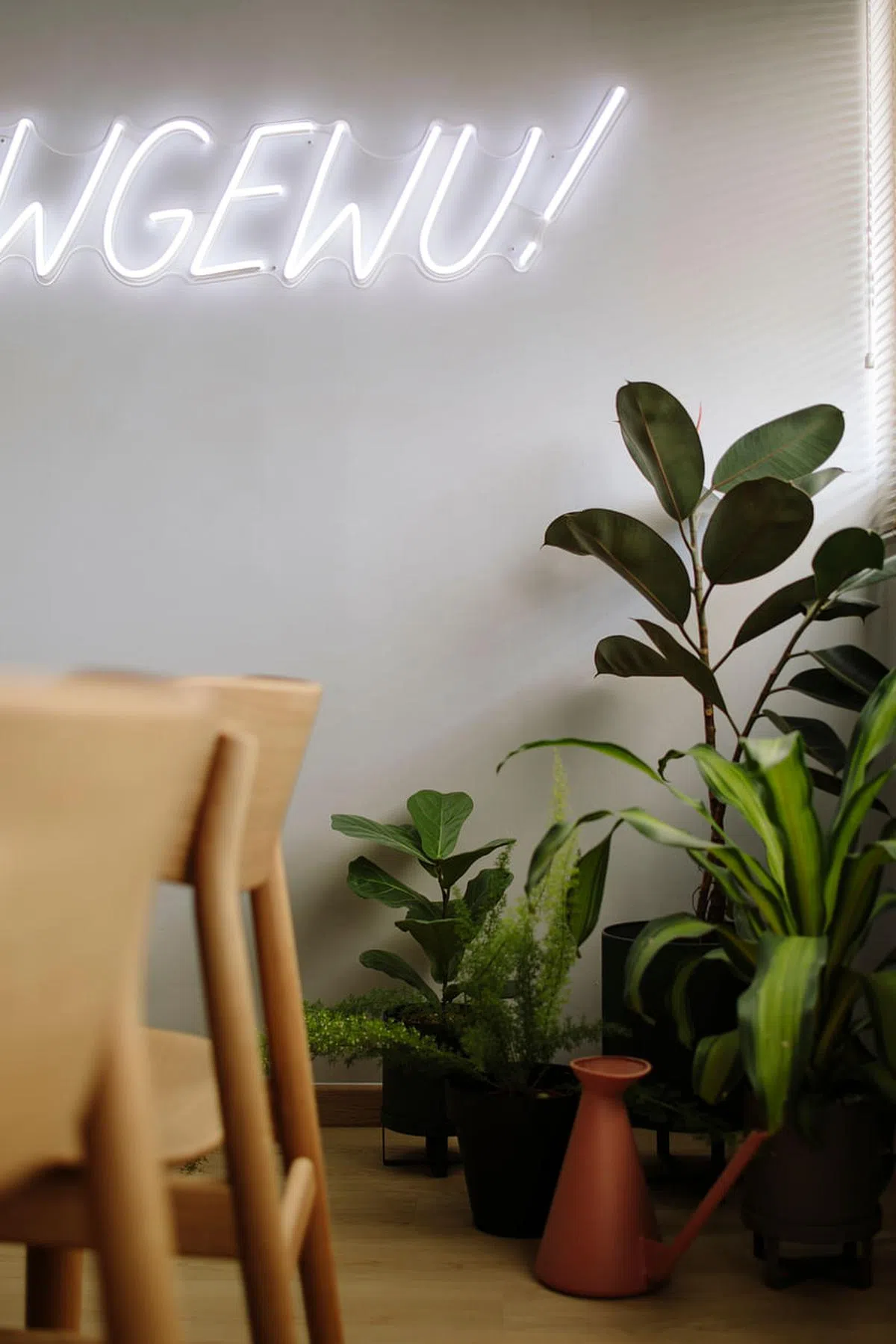 猜猜这霓虹灯管字母有什么意思？答案就在报道里。