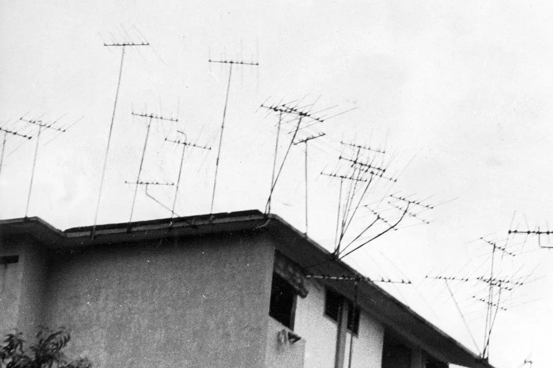 早年有电视机的人家都自装天线，直到建屋局为各组屋装上总天线后，这道风景“线”才逐渐消失。（档案照）