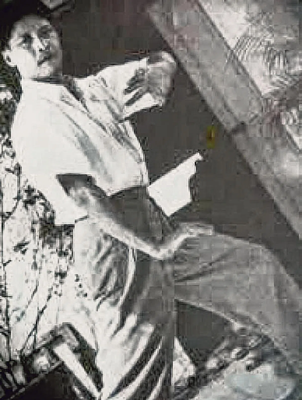 李昆融周家拳等六派武术为一家。（互联网）