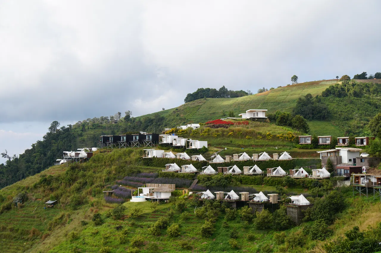 依山而建的露营民宿，满眼尽是绿野葱葱的自然景色。（陈默汎摄）
