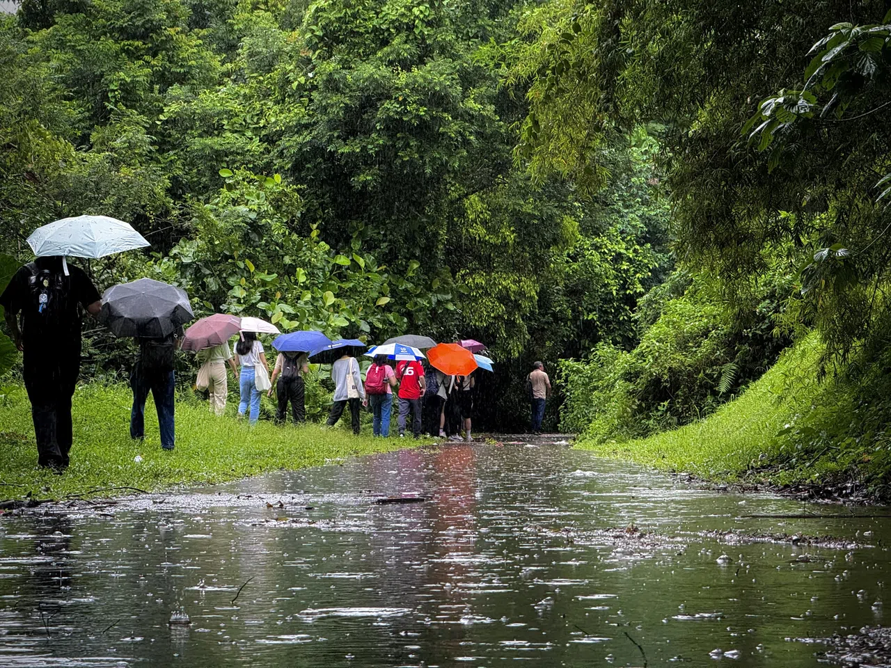 那天早上雨下不停，多处积水，导致步行有些艰难。除了地面湿滑，还时不时遇到雨水积累造成的“小溪”。（龙国雄摄）