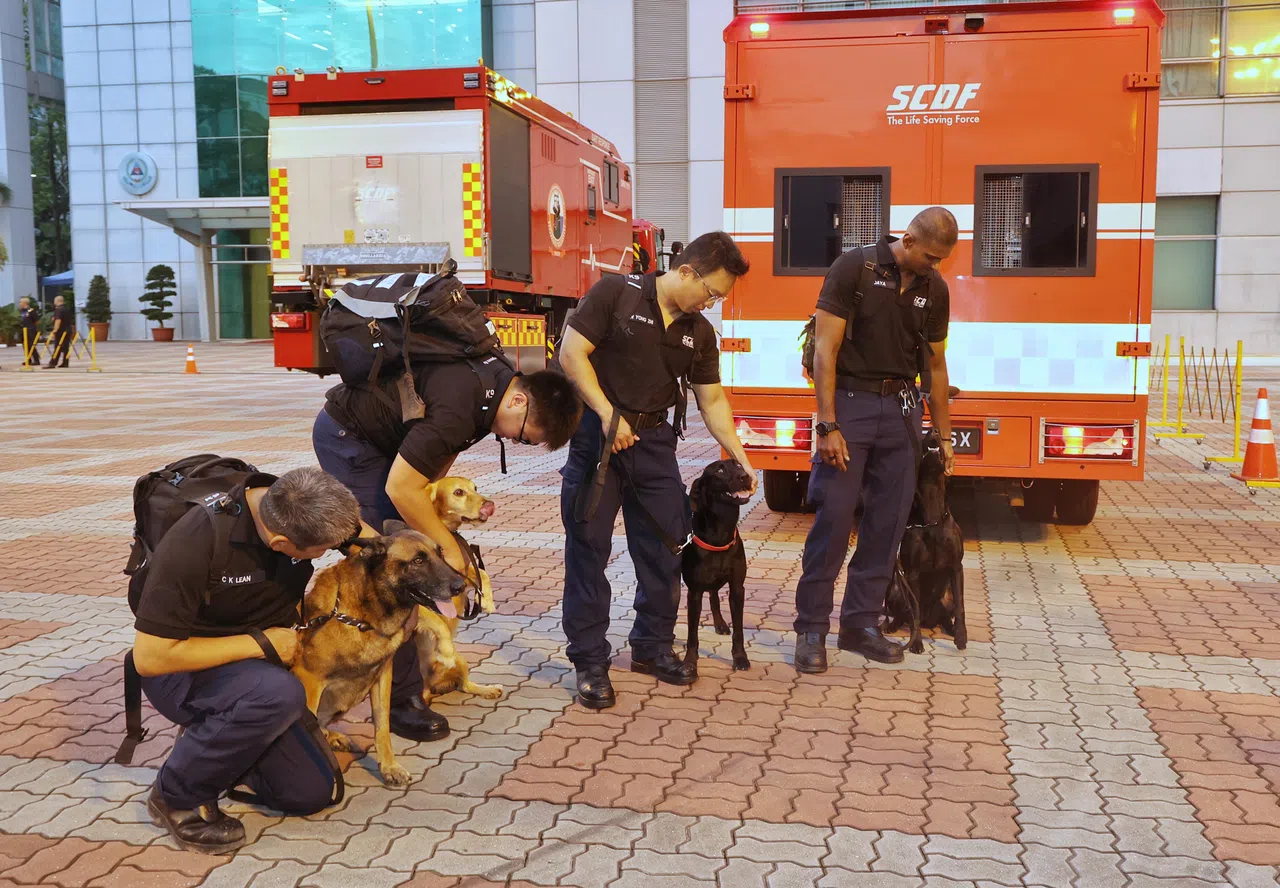 除了80人队伍，当局也派出四只搜救犬，希望在现场助搜救队伍一臂之力。（唐家鸿摄）
