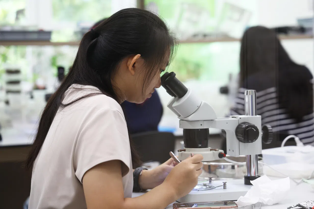 种子收集回种子库时，许多种子仍包含在果实中，必须经过清理，最大程度降低腐烂风险。（蔡家增摄）