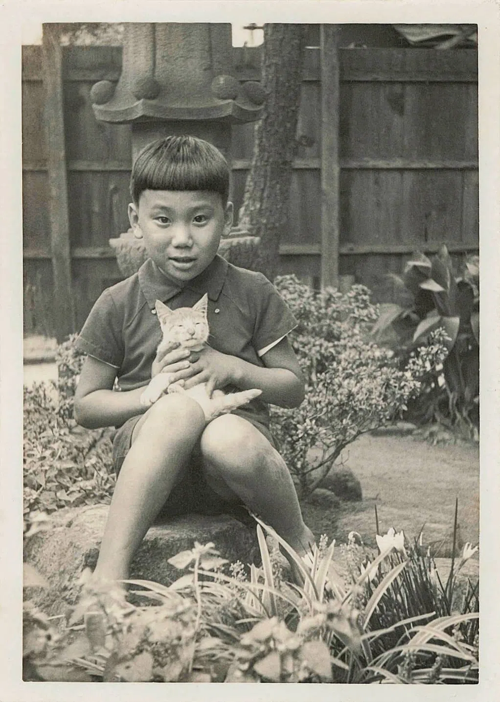 村上春树以《弃猫》一作，描绘父亲村上千秋。（互联网）