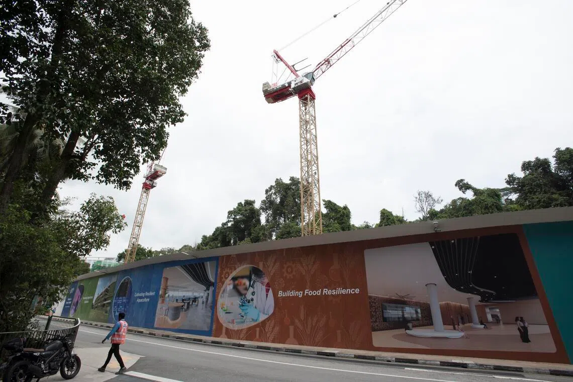 国大在新加坡核研究与安全院对面建设一座四层楼食品研究中心，预计明年首季完工启用。（特约伍书永摄）