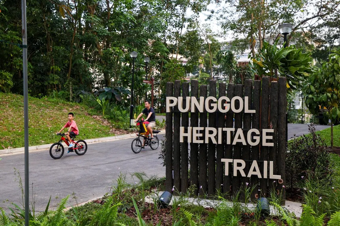 榜鹅历史走道（Punggol Heritage Trail）的第一段于今年8月23日正式开放。榜鹅历史走道首段长400公尺，连接榜鹅北道与榜鹅数码园区的校园林荫大道，公众可漫步或骑脚踏车。（档案照片）