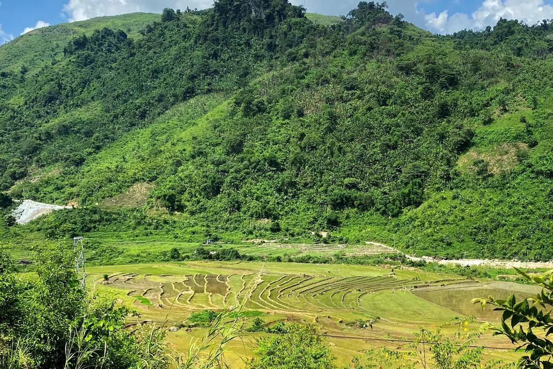 越南西北部莱州省的一片稻田。该省的南塞（Nam Xe）稀土矿也在附近。（路透社）