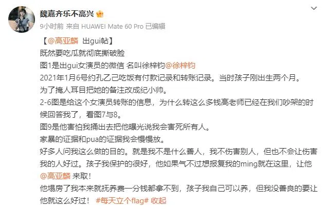 魏嘉微博原文。（互联网）
